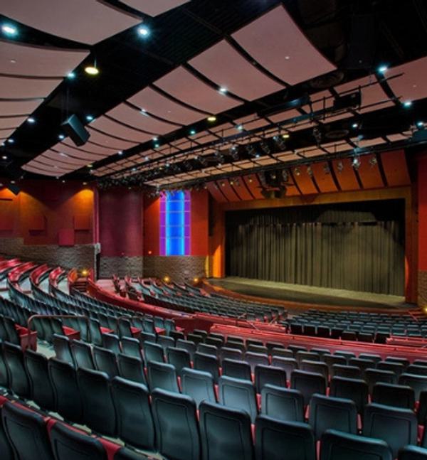 Acoustic company Paragon 360 also has experience in auditorium design, seen in this example.