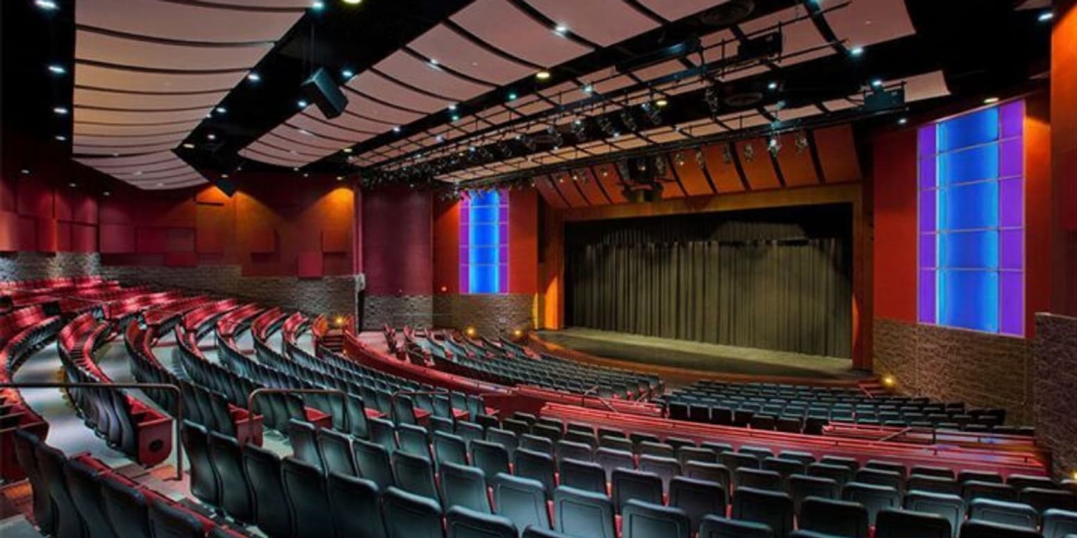 Acoustic panels that Paragon 360 installed in a theater.